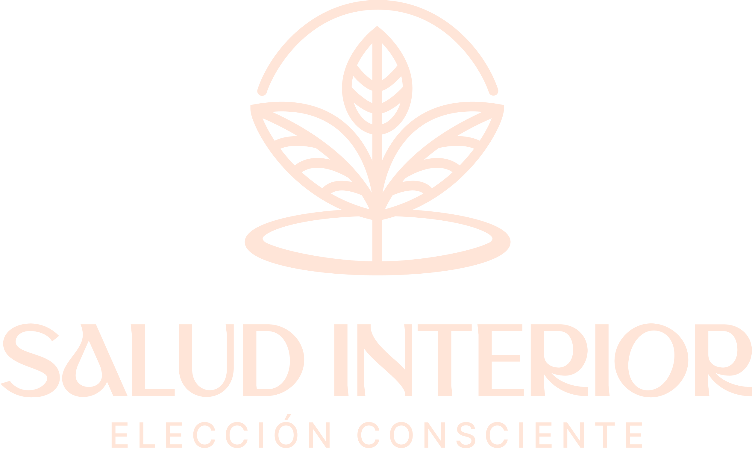 logo saludinterior